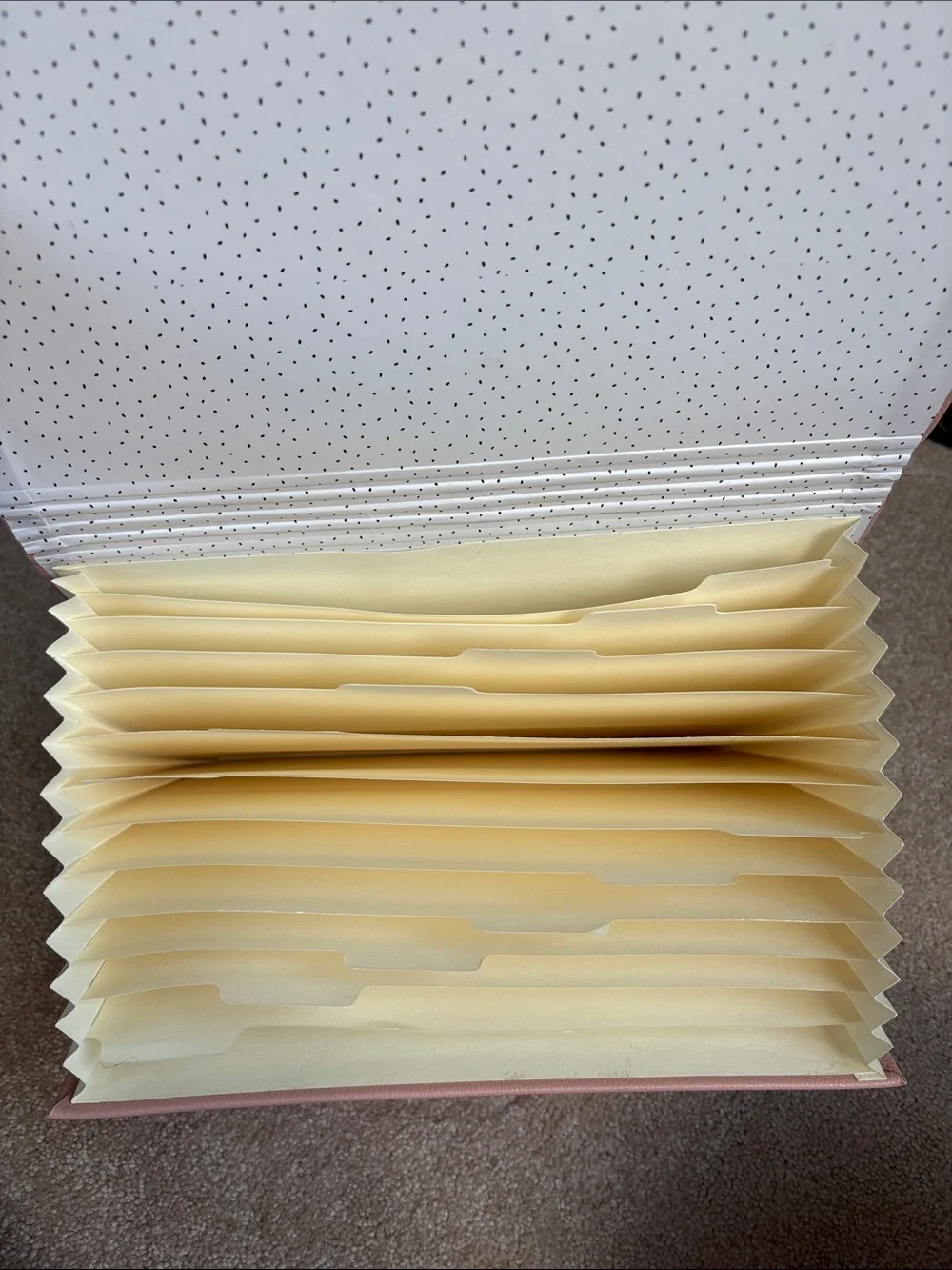 Blush Pink Tie-Closure Accordion Folder